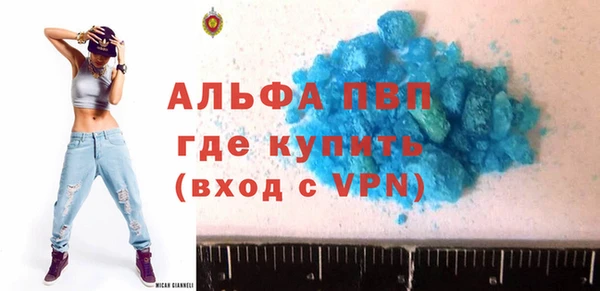 эйфоретик Покачи