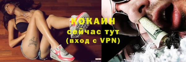 эйфоретик Покачи