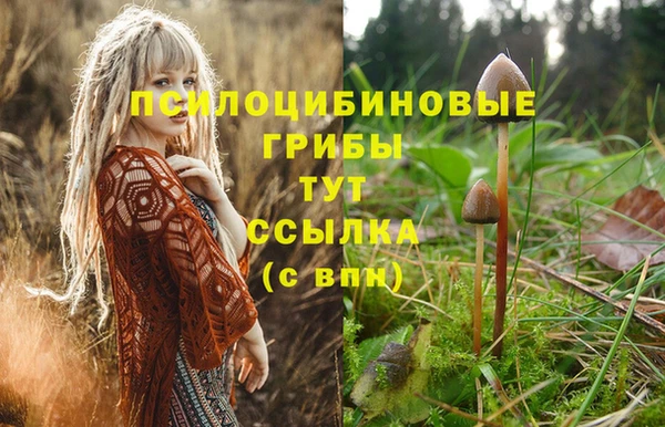 apvp Абинск