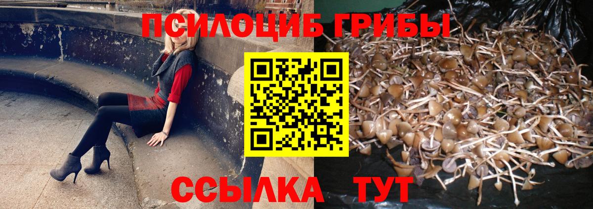 Лангепас  Псилоцибиновые грибы MAGIC MUSHROOMS  Вход с VPN  Псилоцибиновые грибы мухоморы 