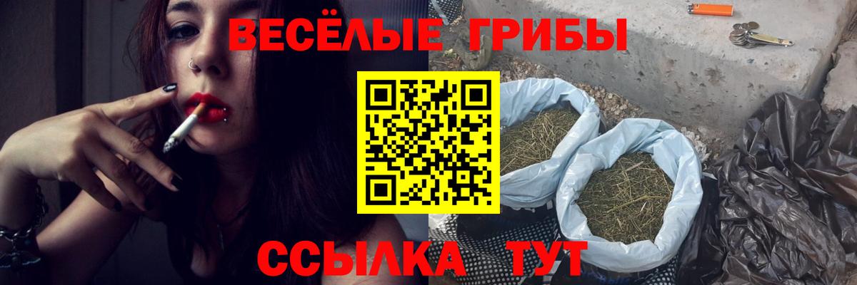 Псилоцибиновые грибы GOLDEN TEACHER Лангепас